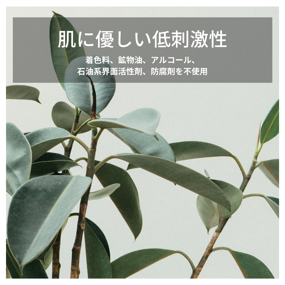 【定期便】DAYCARE ESSENSE IN LOTION<オールインワンローション>